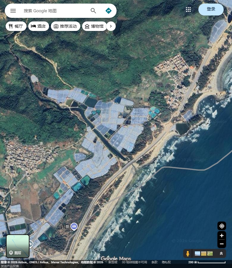 高洋尾沙岸、北侧礁岸与沿岸道路 Google Maps卫星图;2026-09-10查看,北向上。