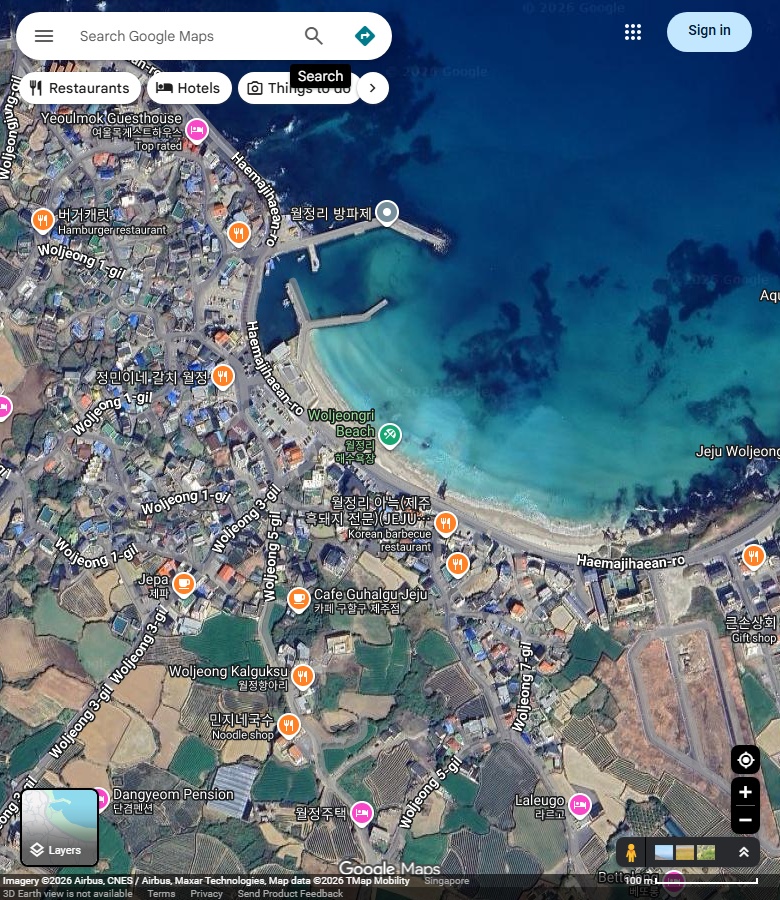 月汀里主沙岸、西北端港堤与环湾道路。 Google Maps卫星图;2026-09-10查看,北向上。