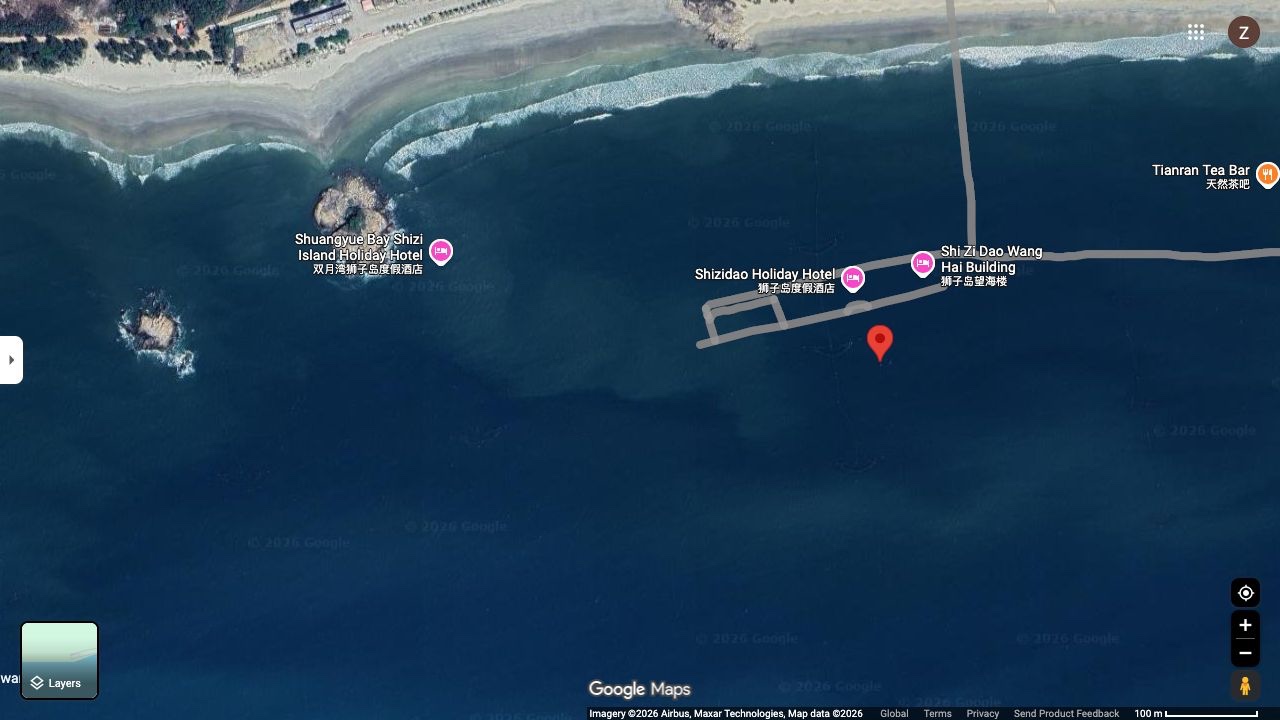 狮子岛Google Maps归档卫星图,保留完整地图与影像署名。